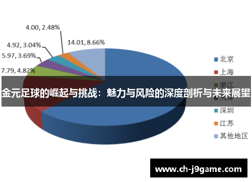 金元足球的崛起与挑战：魅力与风险的深度剖析与未来展望